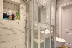 Shower Room- click for photo gallery